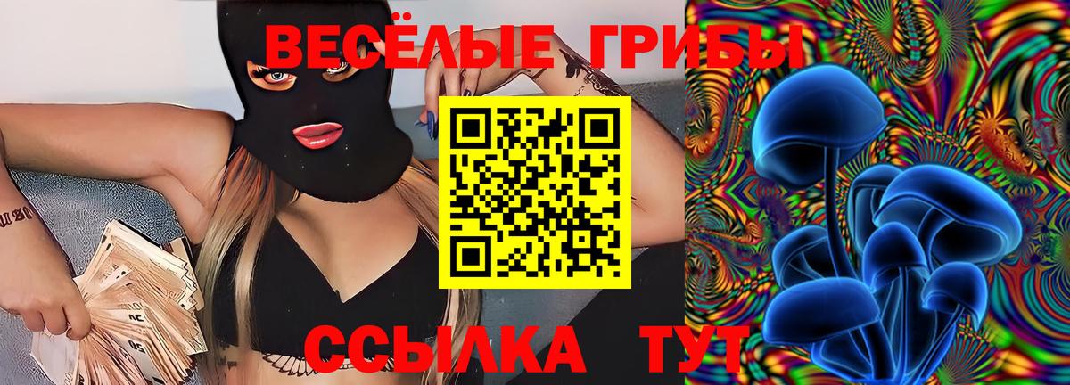 Псилоцибиновые грибы Cubensis Омск