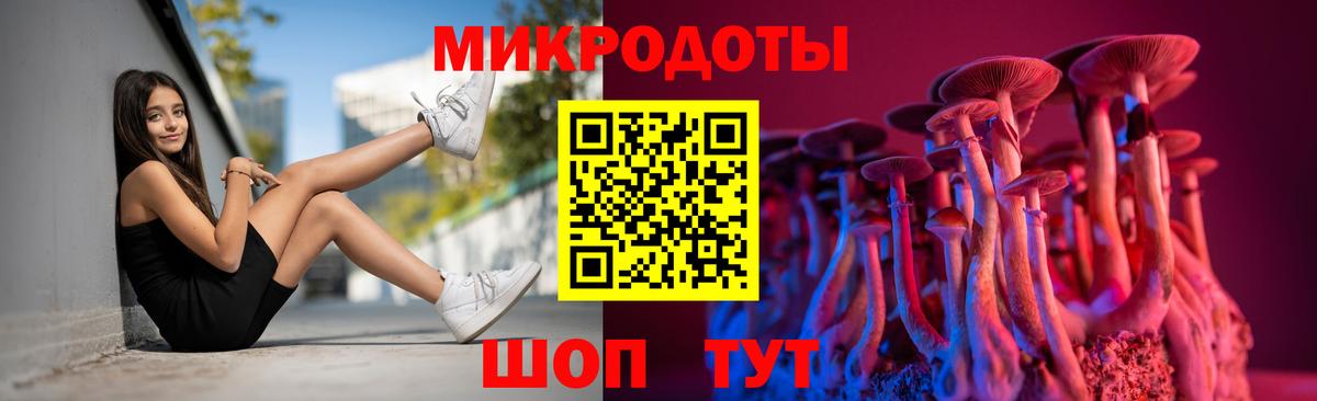 Галлюциногенные грибы Psilocybe  Вход с VPN  Омск 